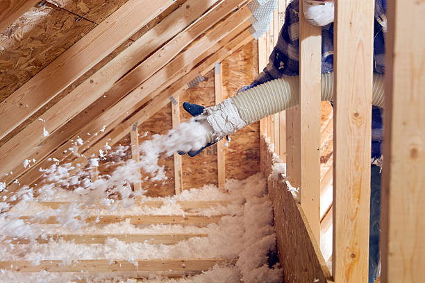 Best Blown-In Insulation  in Clisle, AR